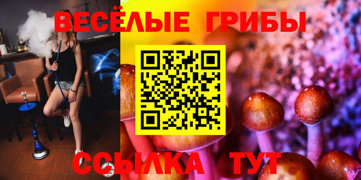 Галлюциногенные грибы MAGIC MUSHROOMS  Вход с VPN  Клин  наркота  Псилоцибиновые грибы прущие грибы 